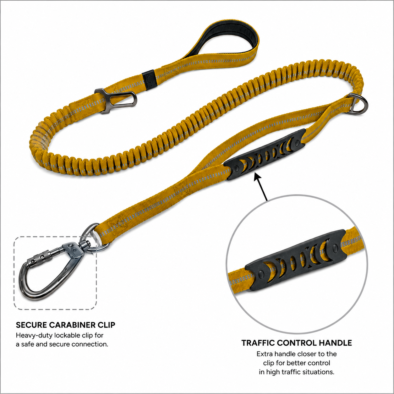 Summit Flex Leash