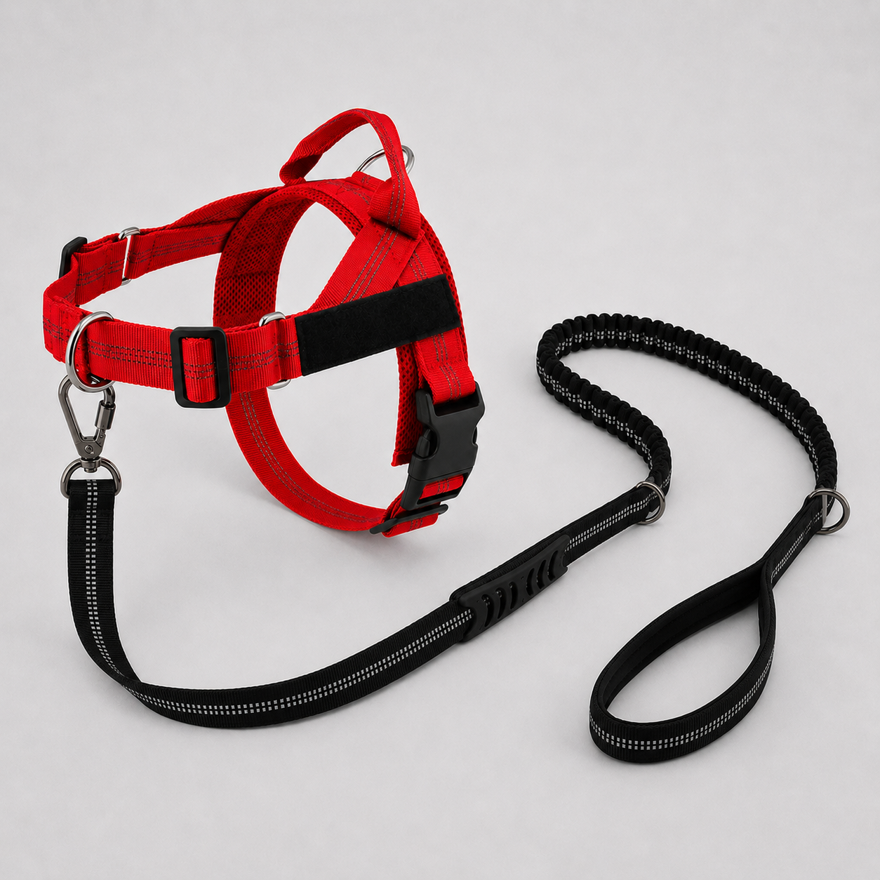 Harness & Leash Red S