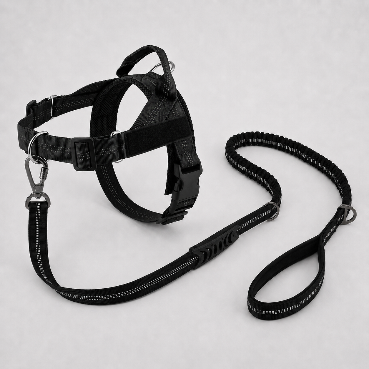 Harness & Leash Black L