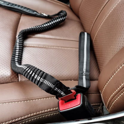 Summit Flex Leash
