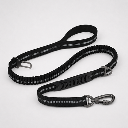 Summit Flex Leash