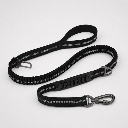 Summit Flex Leash