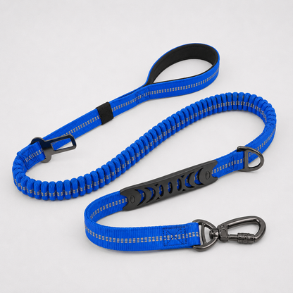 Summit Flex Leash