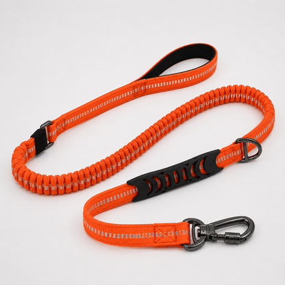 Summit Flex Leash