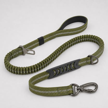 Summit Flex Leash