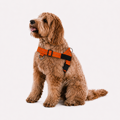 Aegis Dog Harness 2.0