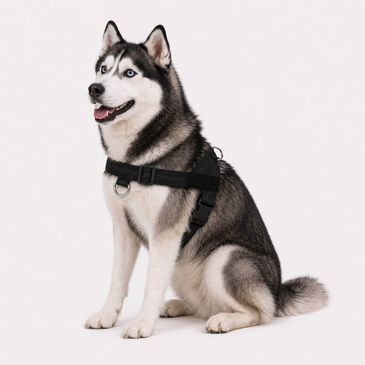 Aegis Dog Harness 2.0