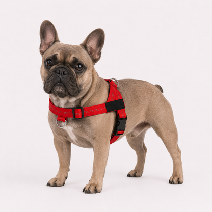 Aegis Dog Harness 2.0