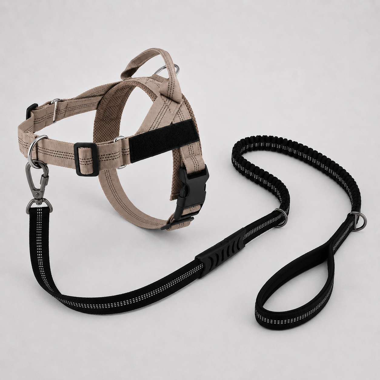 Harness & Leash Beige XL