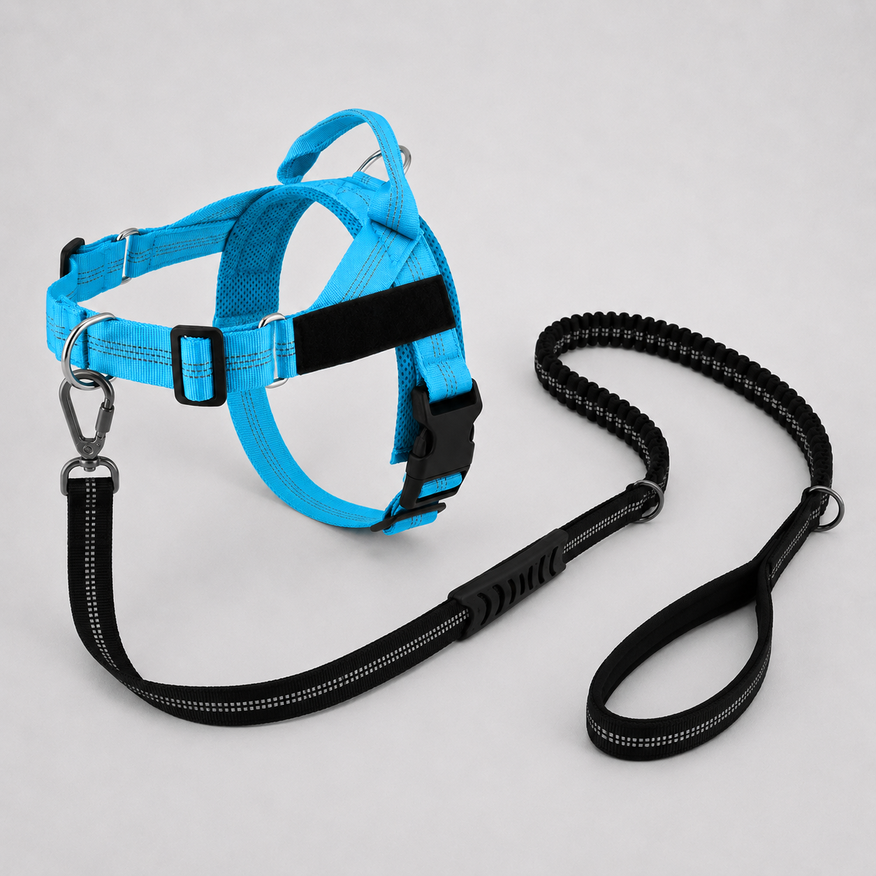 Harness & Leash Blue XL