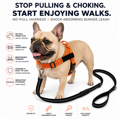Harness & Leash Orange XS